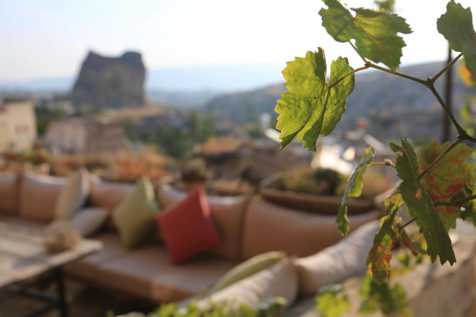 Anitya Cave House Apart Hotel Ortahisar 外观 照片
