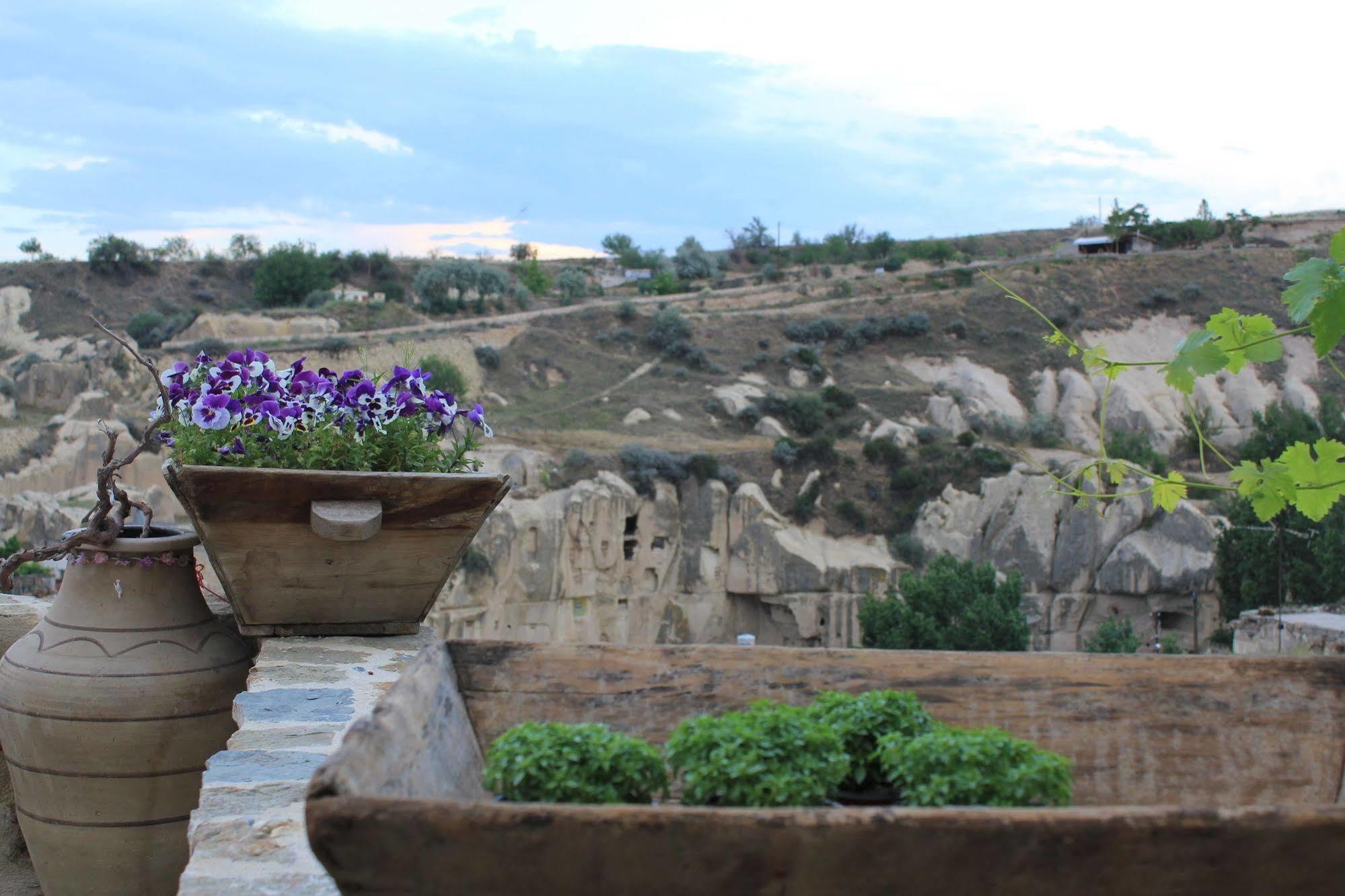 Anitya Cave House Apart Hotel Ortahisar 外观 照片