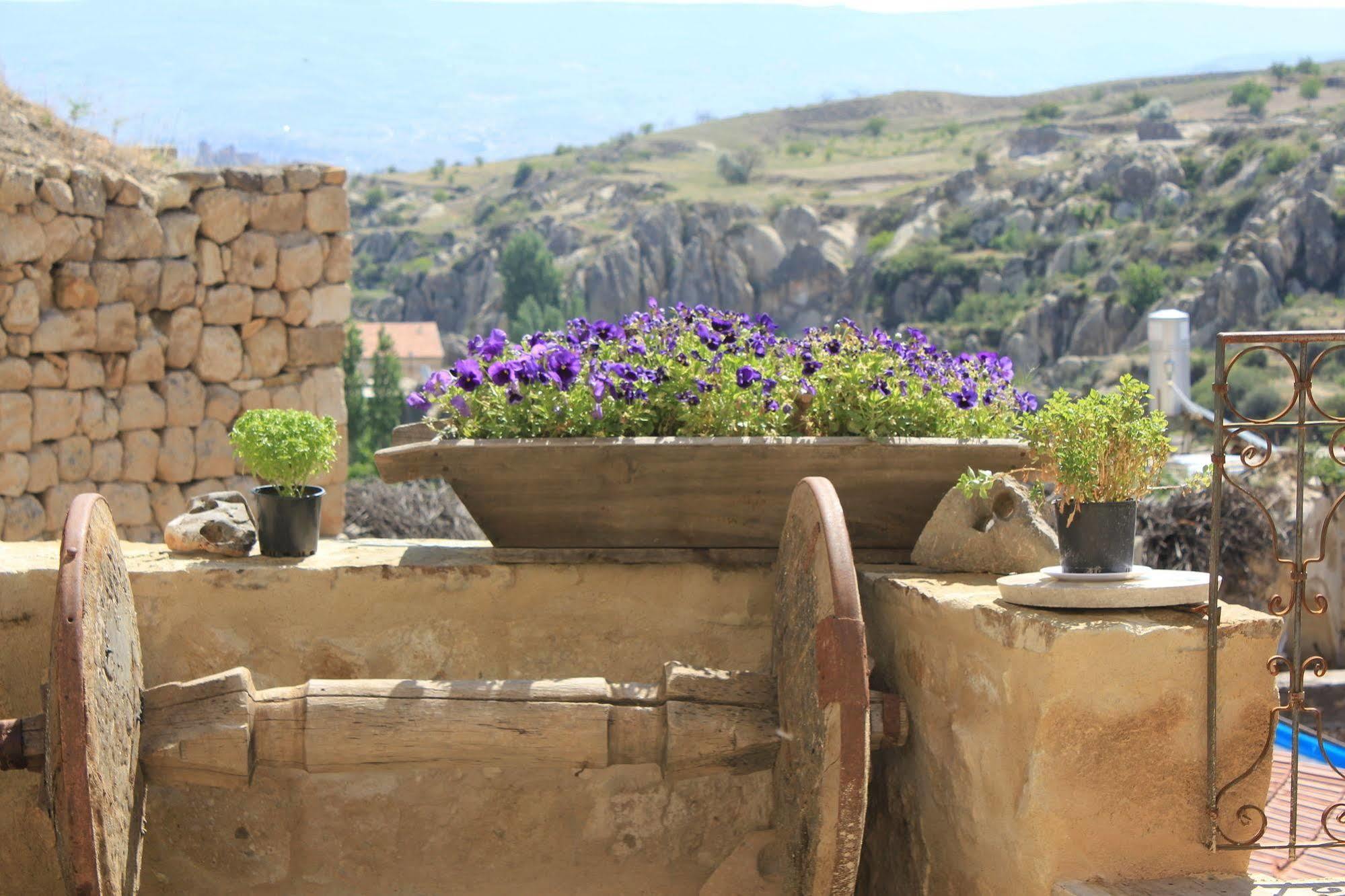 Anitya Cave House Apart Hotel Ortahisar 外观 照片